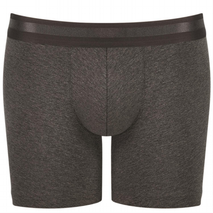 Simplicity Shorts for Men