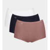 Basic+ Maxi (Six pack) Mixed colours