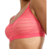 Free Evolve Lace Bra