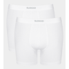Ever Ease Short for Men - 2 Pack - White
